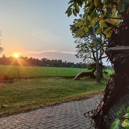 Yaye Guest House Tissamaharama Dış mekan fotoğraf