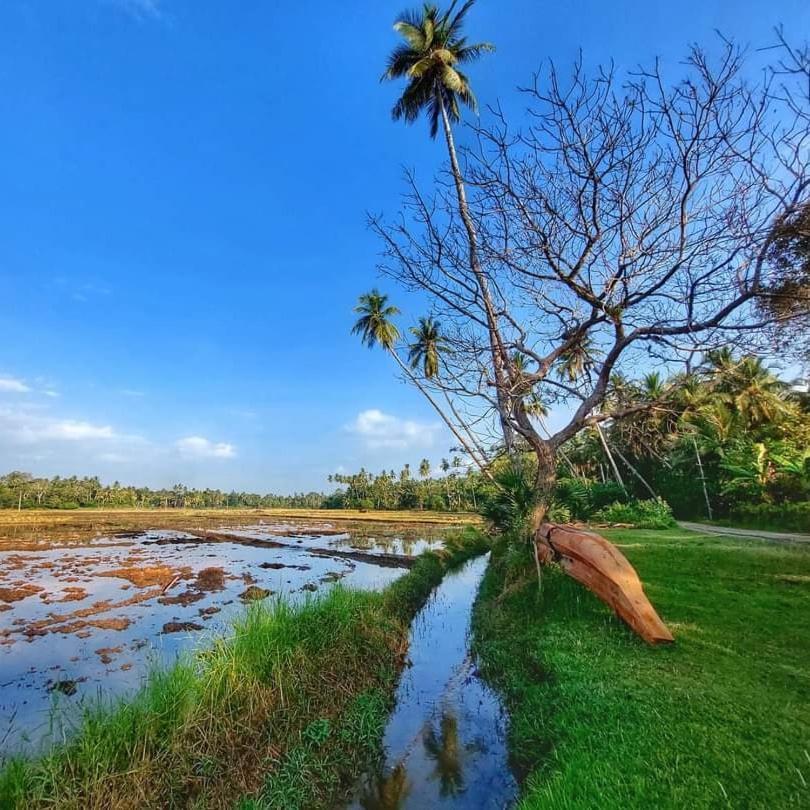 Yaye Guest House Tissamaharama Dış mekan fotoğraf